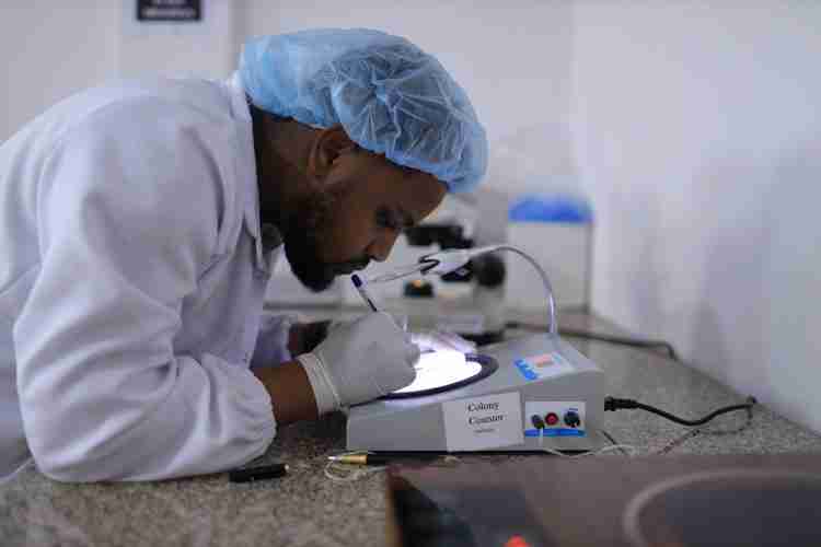 Promising Alternatives to the ‘Necessary Evil’ of Costly Chemical Fertilizers