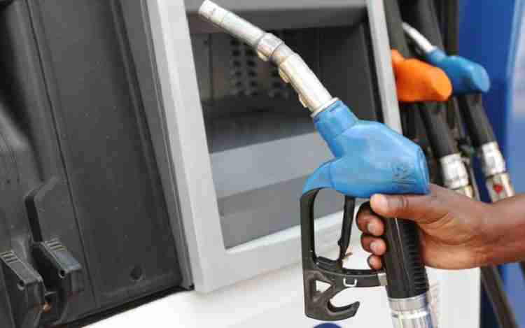 EIC Raises Concerns Over Ban on Fuel-Powered Vehicles