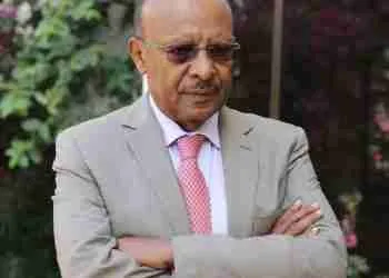 Only a ‘Magnanimous State’ Saves Ethiopia: A UN Veteran’s Assessment of Ethiopia’s Internal Fractures