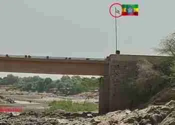 “War and Peace” on the Ethio–Eritrea Border