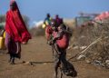 Ethiopia’s Forgotten Human Capital Crisis: Skill Gaps That Begin Long Before School