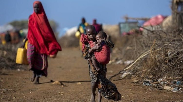 Ethiopia’s Forgotten Human Capital Crisis: Skill Gaps That Begin Long Before School