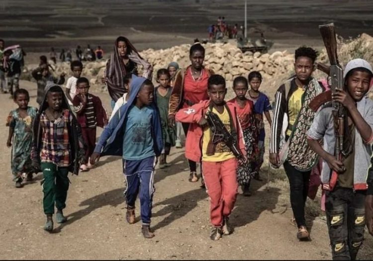 HRW Says Tigray Authorities Abduct Civilians, Recruit Children as Young as 15