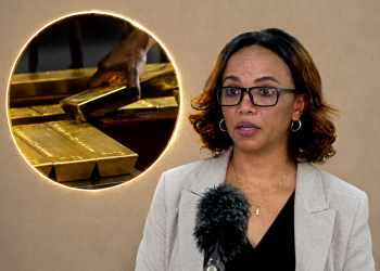 183 Held Accountable in Major Gold Smuggling Ring, Government Says