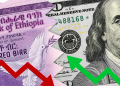 Birr Weakest Among 23 African Currencies as NBE Holds USD 500M Special FX Auction