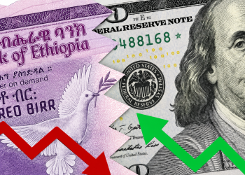 Birr Weakest Among 23 African Currencies as NBE Holds USD 500M Special FX Auction