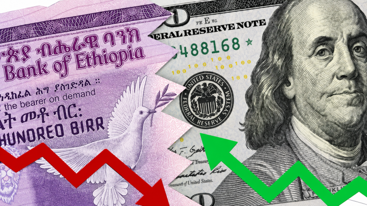 Birr Weakest Among 23 African Currencies as NBE Holds USD 500M Special FX Auction
