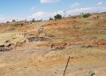 58 Percent of Regions See Declining Soil Health Since 2015, says FAO