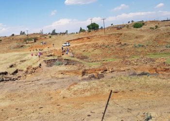 58 Percent of Regions See Declining Soil Health Since 2015, says FAO