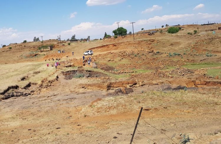 58 Percent of Regions See Declining Soil Health Since 2015, says FAO