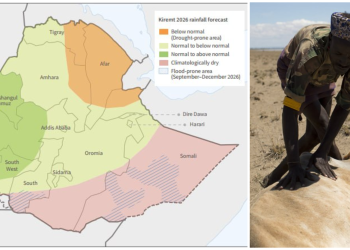 Drought Warning Threshold Reached in 114 Ethiopian Woredas Home to 9.3 Million People, FAO Says