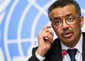 “Enough”: WHO Director-General to Ethiopian Authorities  