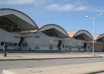 Ethiopian Airlines Suspends Tigray Flights Following Regional Forces Seizure of Mekelle Airport