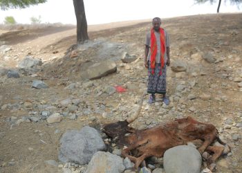 Drought Emergency or Seasonal Deficit?