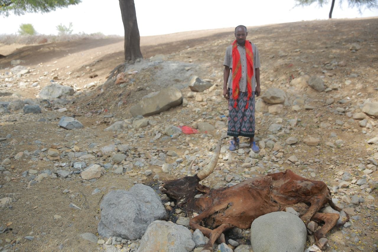 Drought Emergency or Seasonal Deficit?