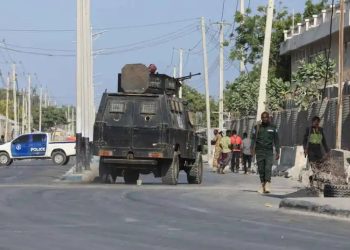 Somalia Security Budget Cut Threatens Ethiopian Border Security: Somalia Security Analysts
