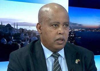 The Moment Ethiopia Recognizes Somaliland, Al-Shabaab will Get a Free Ride: Ethiopian Ambassador to Israel