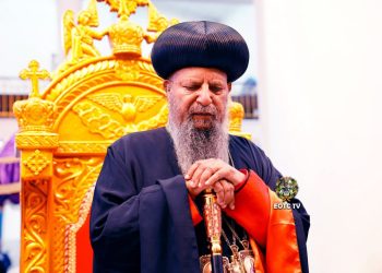 Another Wave of Massacre Targets Orthodox Christians in Arsi; 60 Killed, Says Holy Synod